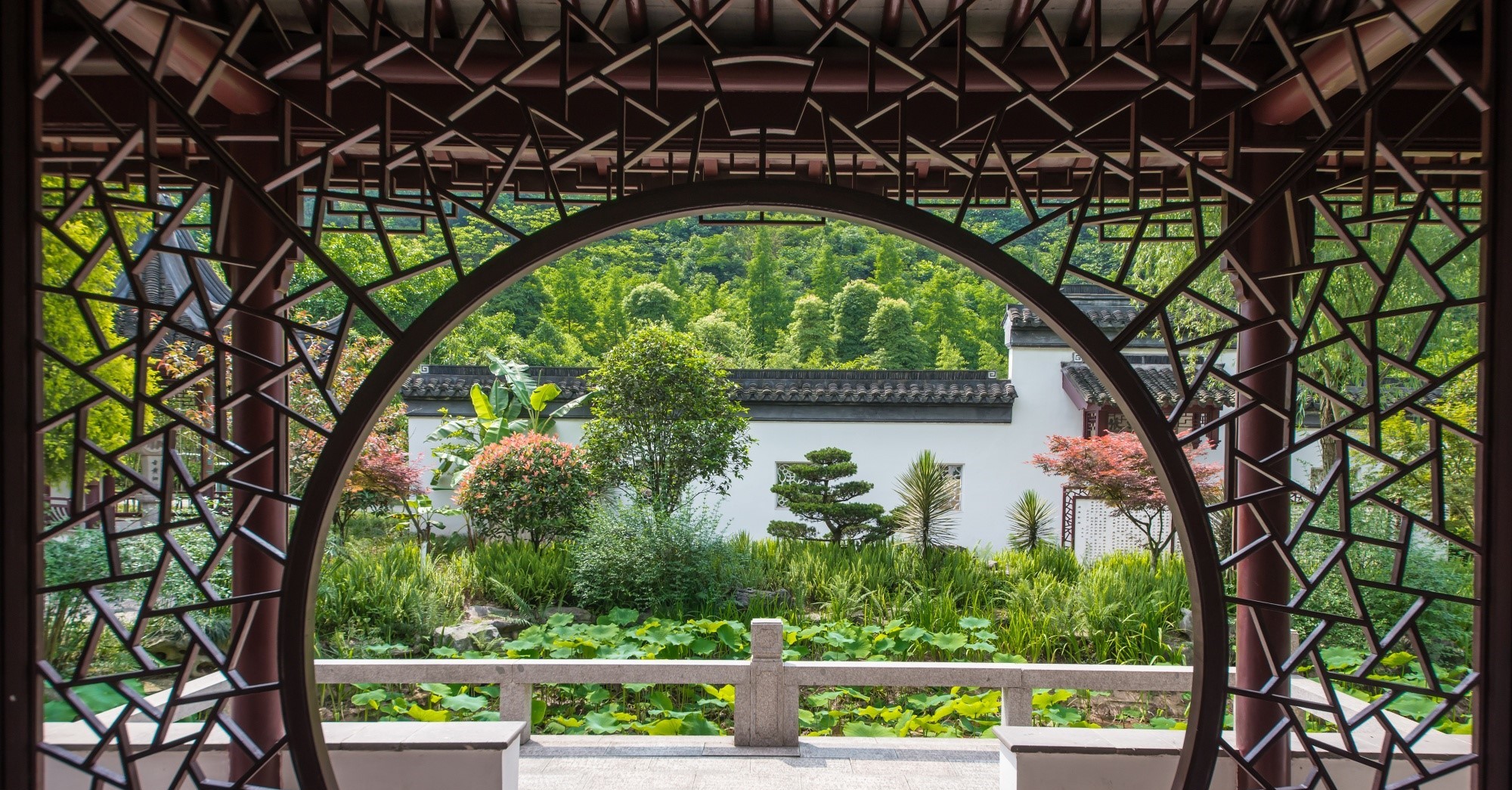 About The Denver Architect